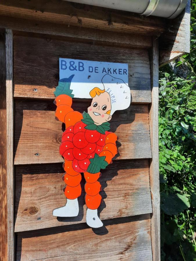 De Akker, Unieke Overnachting In Pipowagens! Ommeren Exterior foto