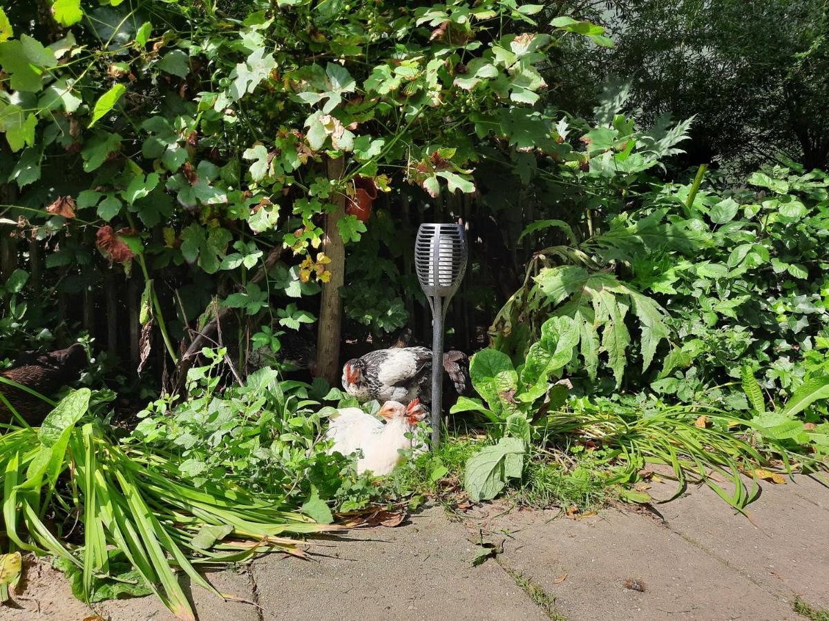 De Akker, Unieke Overnachting In Pipowagens! Ommeren Exterior foto